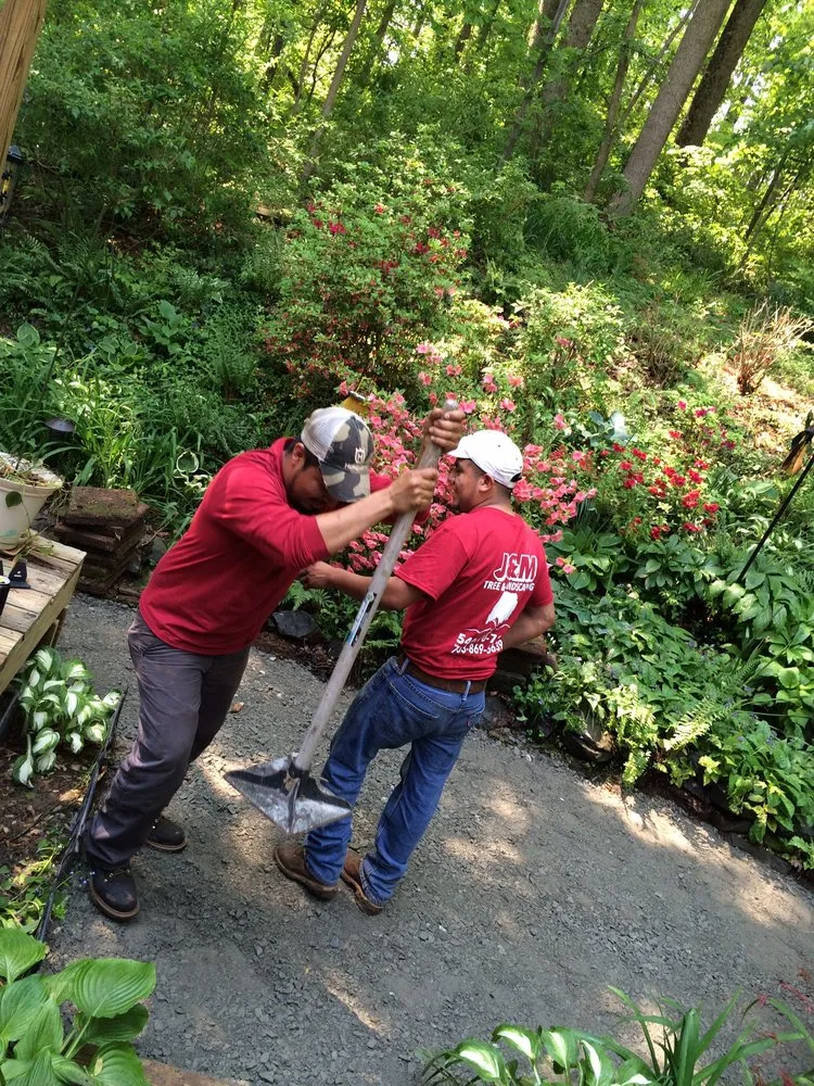 Reliable landscaping services in Fredericksburg, VA by J&M Tree Services