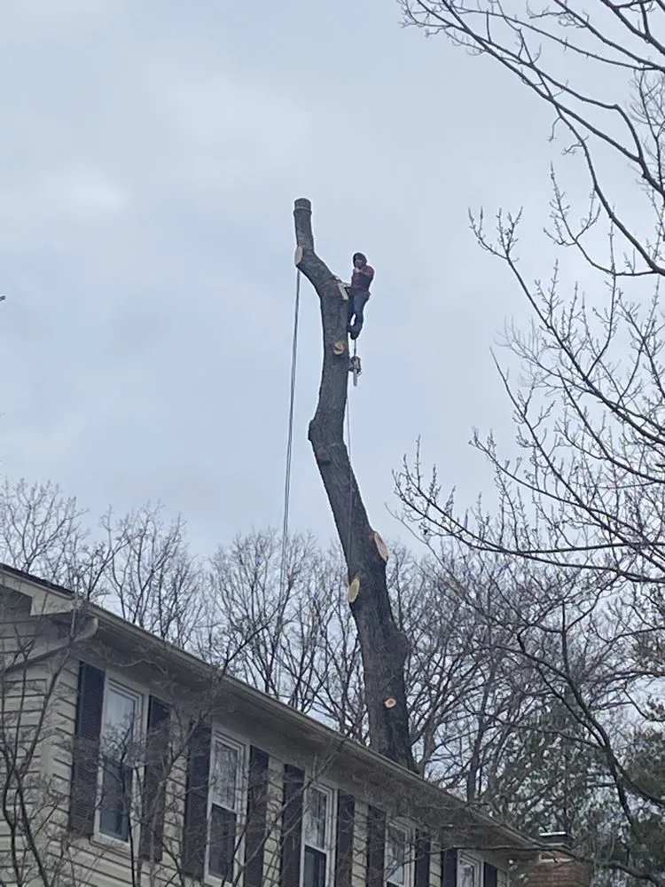 Local landscaping services experts serving Fredericksburg, VA - J&M Tree Services