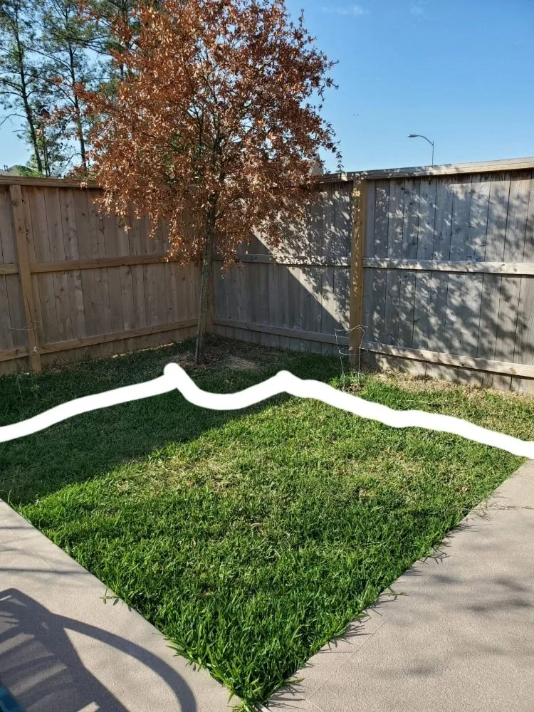 Custom yard cleanup service in Katy, TX by JM Tree Services