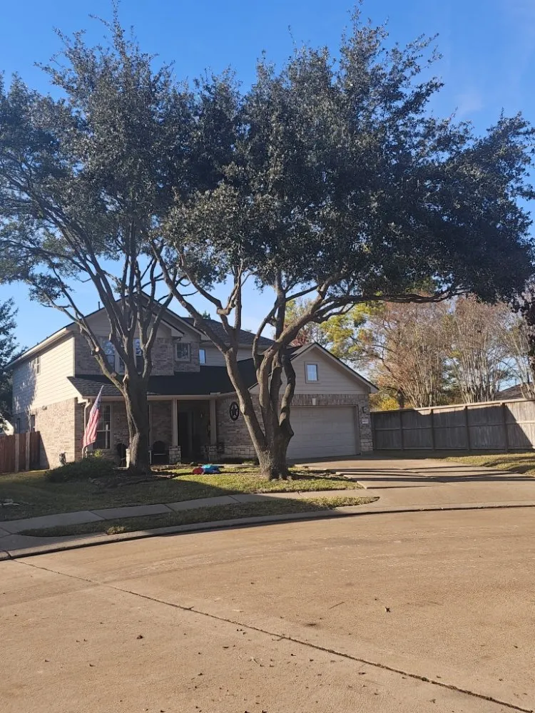 Trusted garden landscaping in Katy, TX by JM Tree Services