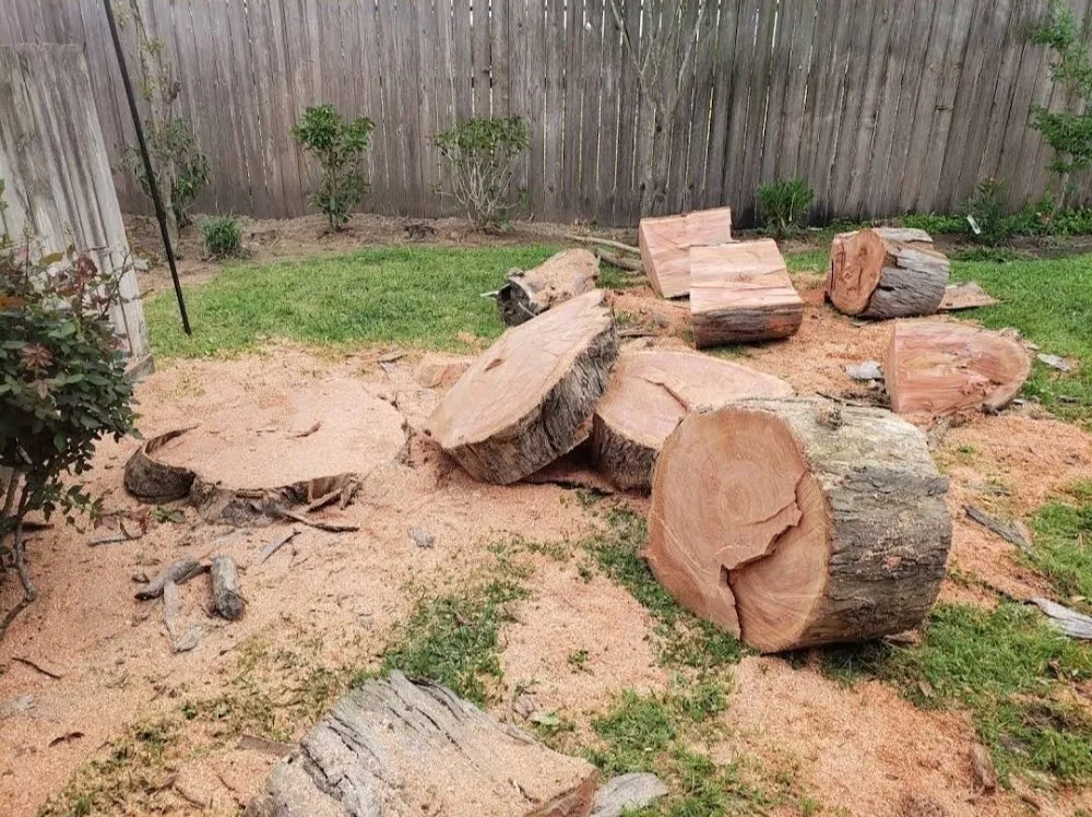 Affordable yard maintenance experts serving Katy, TX - JM Tree Services