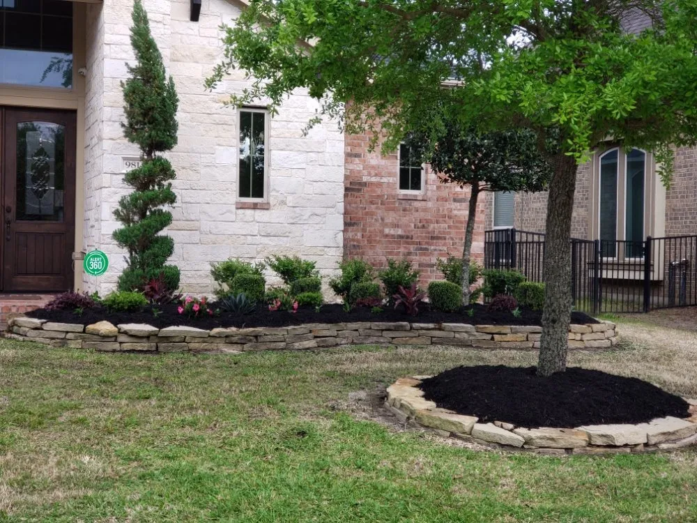 Reliable landscaping services experts serving Katy, TX - JM Tree Services