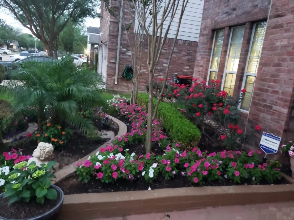 Expert garden landscaping experts serving Katy, TX - JM Tree Services