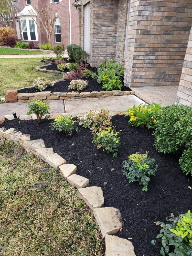 Expert yard maintenance in Katy, TX - JM Tree Services