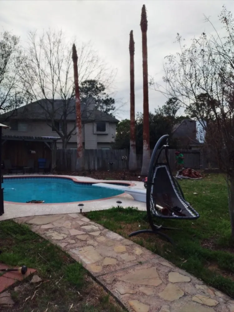 Reliable lawn mowing service experts serving Katy, TX - JM Tree Services