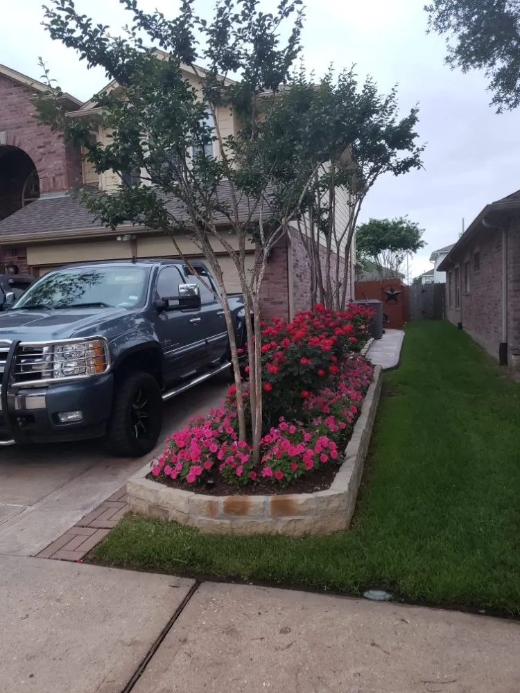 Custom landscape design for year-round maintenance in Katy, TX by JM Tree Services