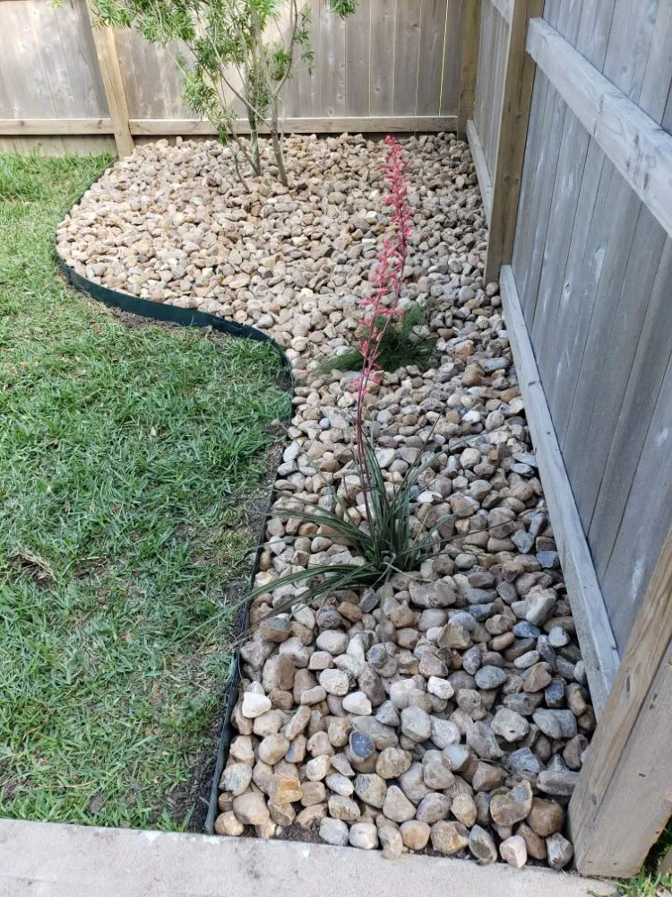 Professional yard cleanup service for homes in Katy, TX by JM Tree Services