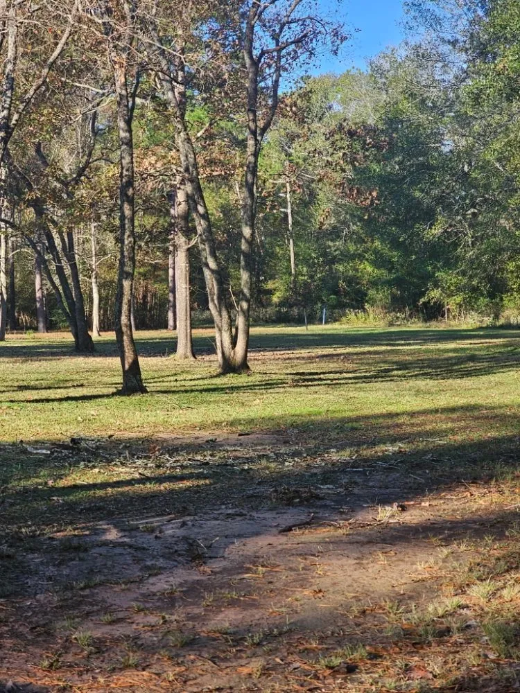 Expert landscape design experts serving Katy, TX - JM Tree Services