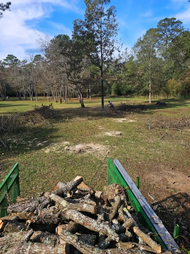 Trusted landscape design in Katy, TX - JM Tree Services