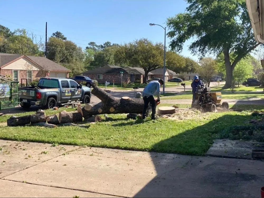 Custom lawn mowing service for beautiful yards across Katy, TX - JM Tree Services
