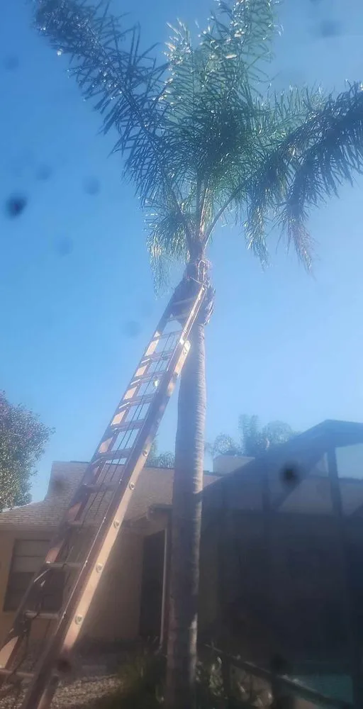 Local outdoor landscaping in Hudson, FL - JM Trees and Hauling