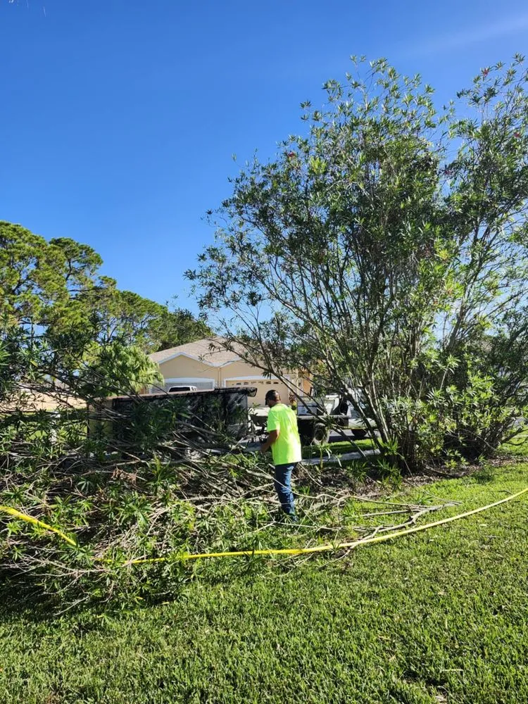 Top-rated lawn care service in Hudson, FL - JM Trees and Hauling