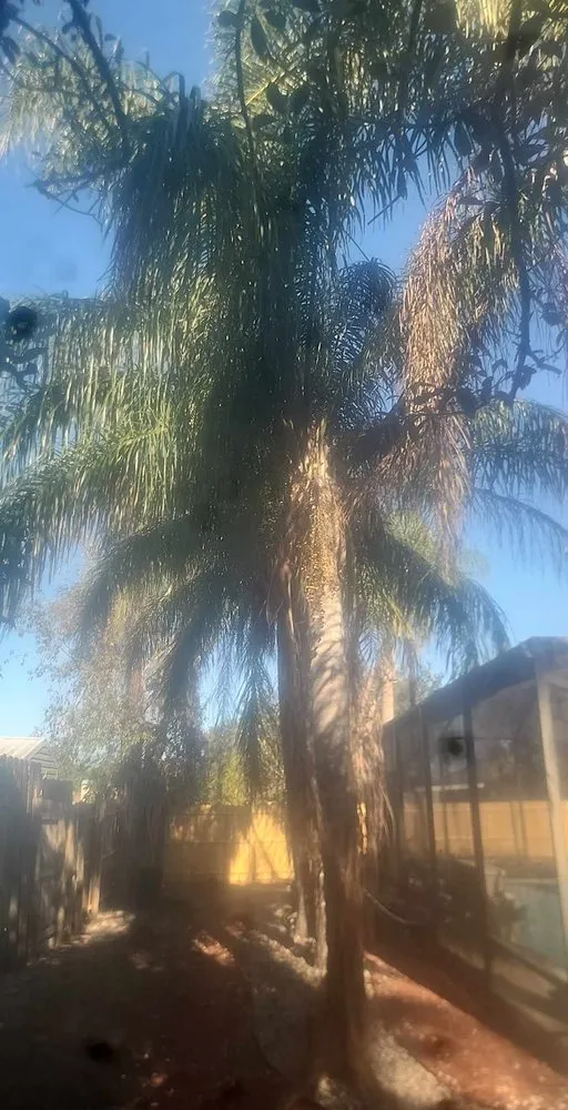 Custom yard maintenance in Hudson, FL - JM Trees and Hauling