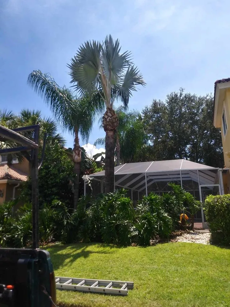Custom landscaping services experts serving Hudson, FL - JM Trees and Hauling