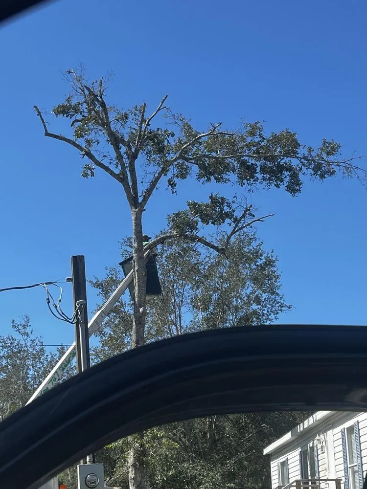 Professional residential landscaping in Hudson, FL - JM Trees and Hauling