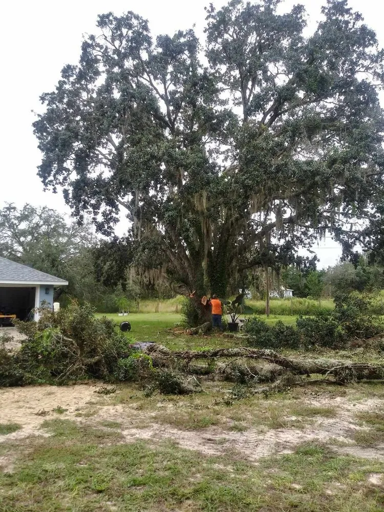 Custom landscape design experts serving Hudson, FL - JM Trees and Hauling