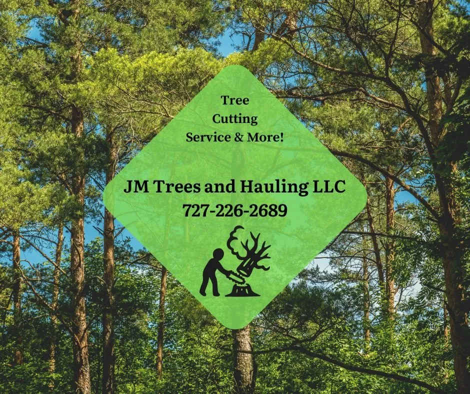 Custom landscaping services in Hudson, FL by JM Trees and Hauling