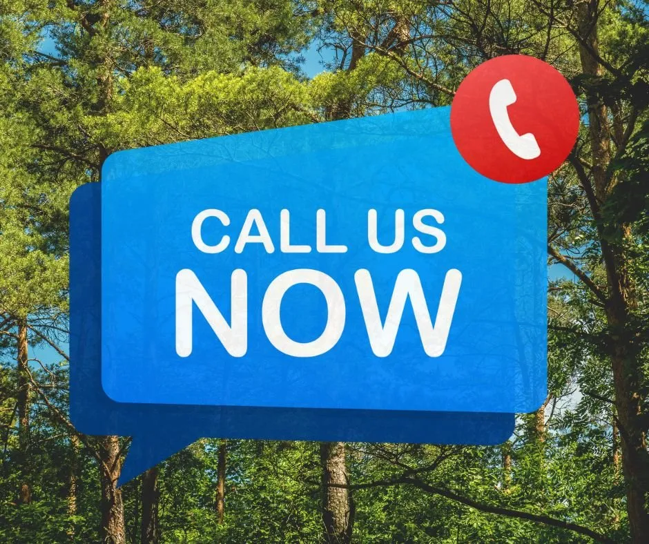 Professional landscape installation in Hudson, FL by JM Trees and Hauling