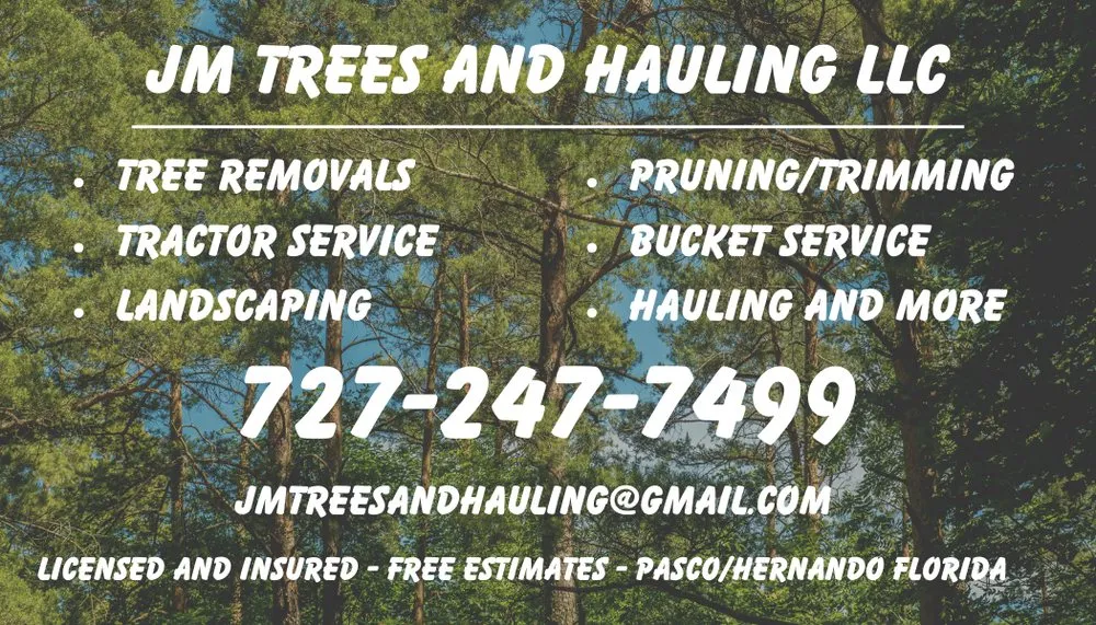 Custom landscaping services experts serving Hudson, FL - JM Trees and Hauling