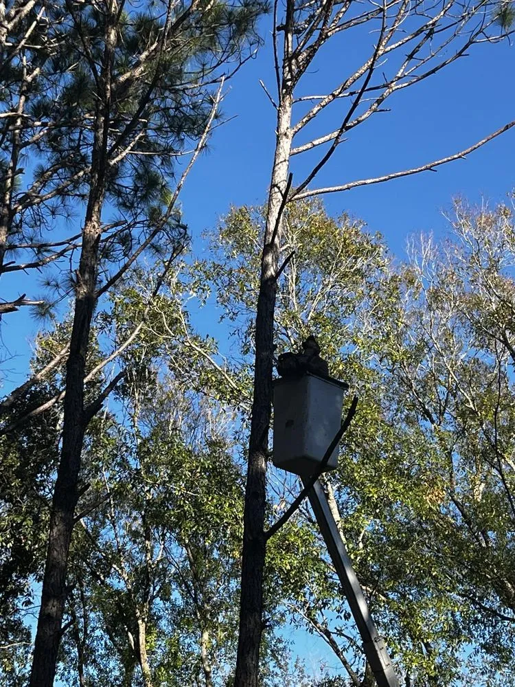 Reliable garden landscaping in Hudson, FL by JM Trees and Hauling