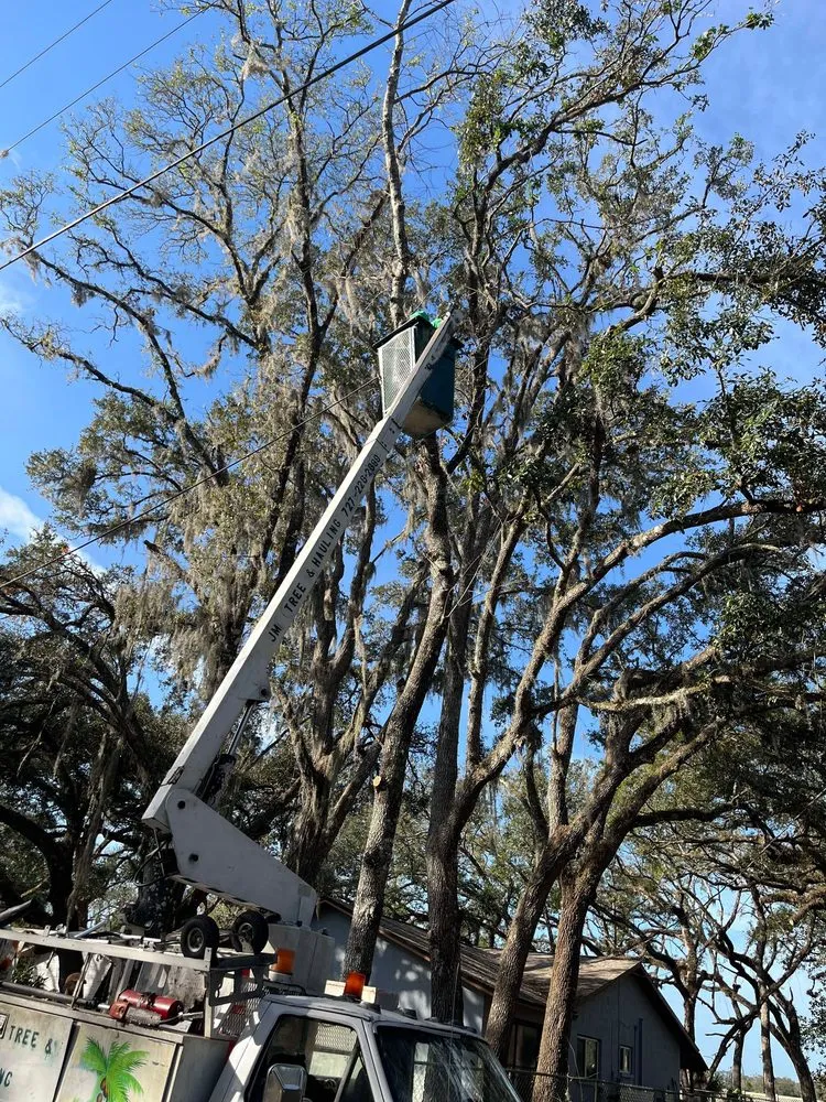 Local yard maintenance in Hudson, FL by JM Trees and Hauling
