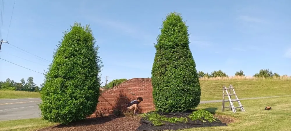 Professional lawn care service experts serving Burlington, NC - J.M Trimming