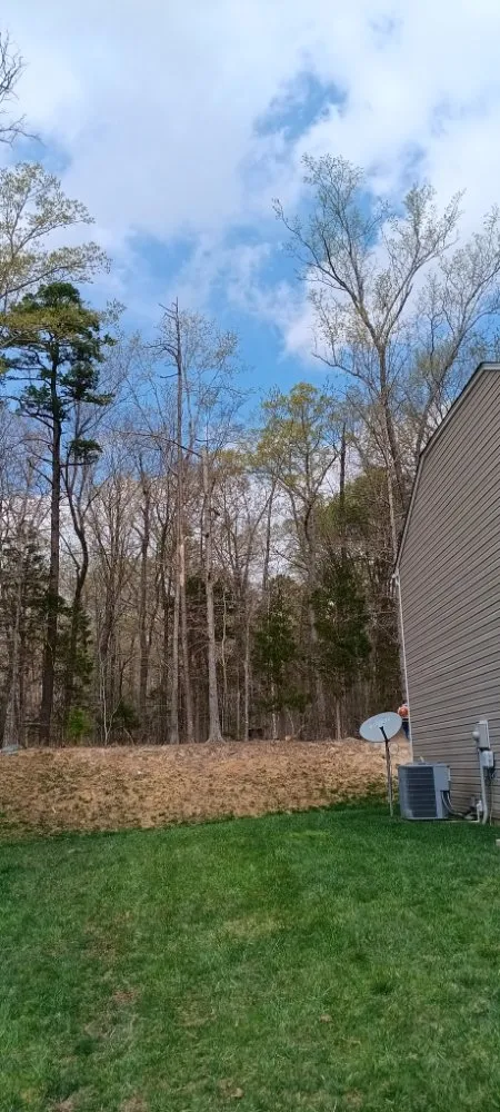 Custom lawn mowing service with custom design across Burlington, NC - J.M Trimming