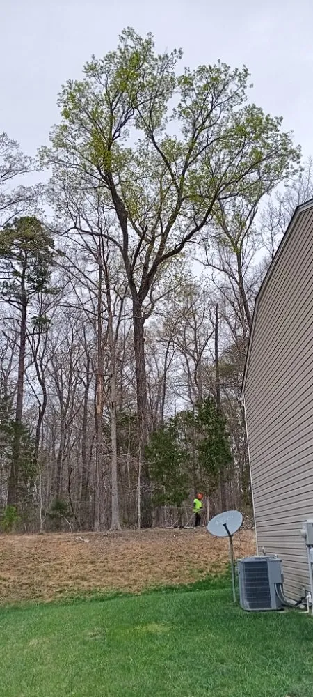 Affordable residential landscaping for beautiful yards across Burlington, NC - J.M Trimming