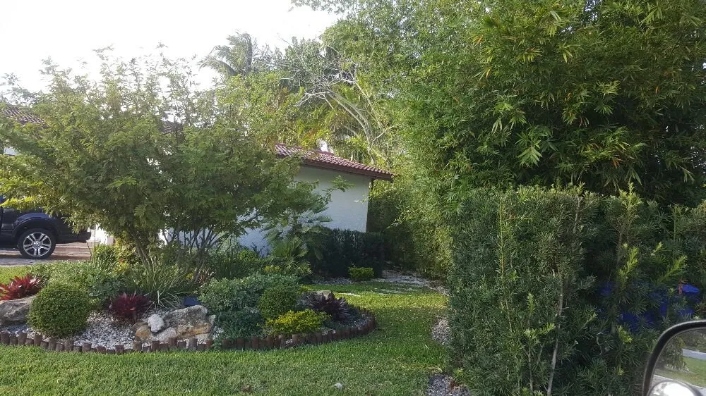 Affordable outdoor landscaping in Hialeah, FL - JM Xelandscaping