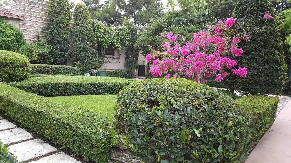 Custom lawn mowing service in Hialeah, FL by JM Xelandscaping