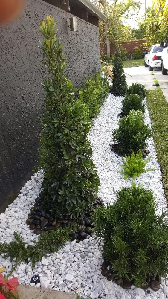 Expert yard cleanup service with custom design in Hialeah, FL by JM Xelandscaping