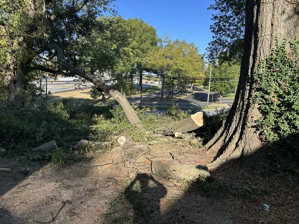Trusted landscape installation for residential properties in Forest City, NC by JMA Landscaping & Pressure Washing