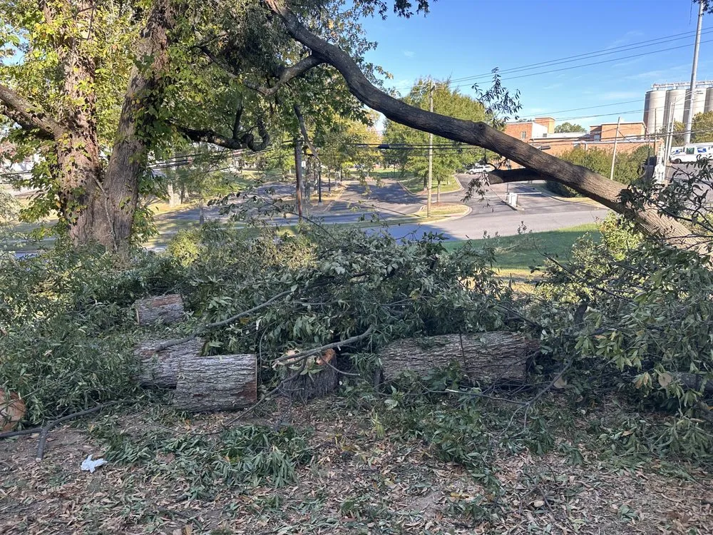 Professional lawn mowing service in Forest City, NC - JMA Landscaping & Pressure Washing