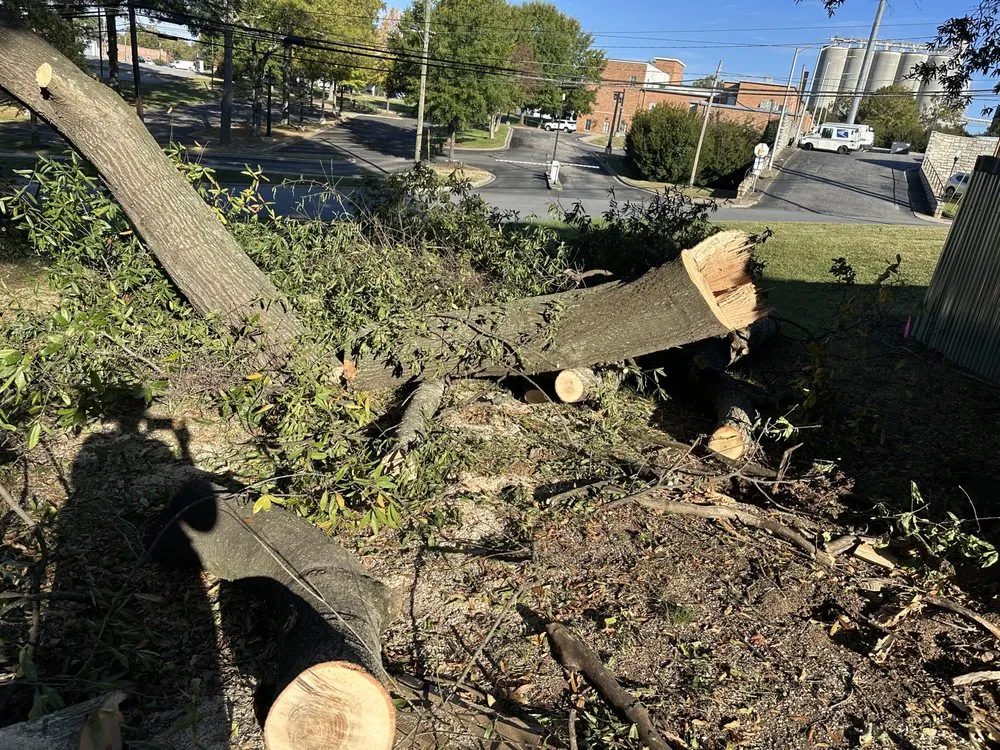 Reliable landscape design for residential properties across Forest City, NC - JMA Landscaping & Pressure Washing