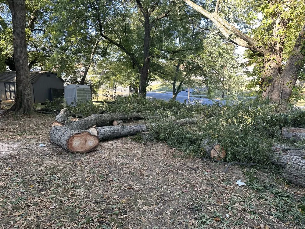 Professional residential landscaping experts serving Forest City, NC - JMA Landscaping & Pressure Washing