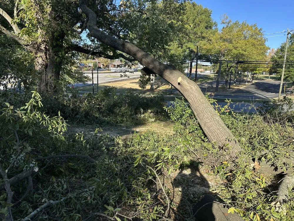 Local landscape installation experts serving Forest City, NC - JMA Landscaping & Pressure Washing