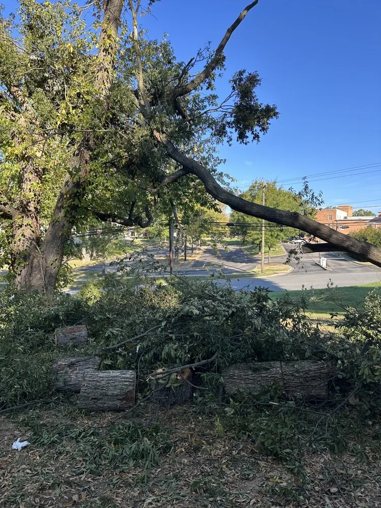 Top-rated residential landscaping in Forest City, NC by JMA Landscaping & Pressure Washing