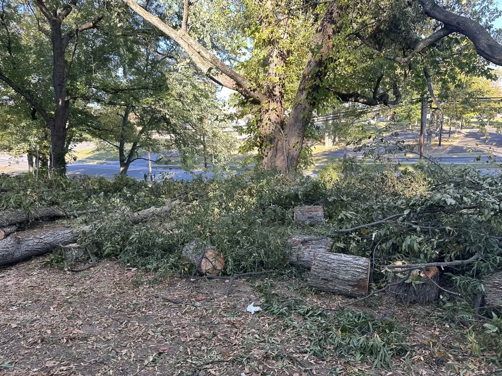 Expert lawn mowing service with custom design in Forest City, NC by JMA Landscaping & Pressure Washing