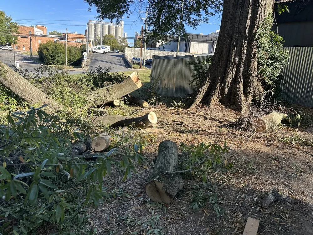 Local yard maintenance for residential properties across Forest City, NC - JMA Landscaping & Pressure Washing