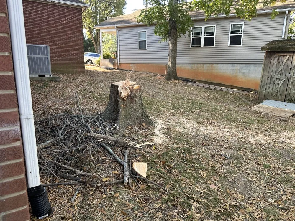 Local landscape design in Forest City, NC - JMA Landscaping & Pressure Washing