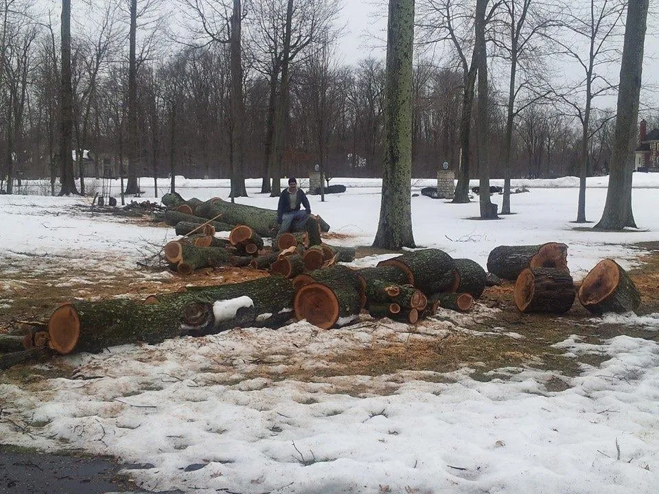 Professional yard maintenance for outdoor upgrades in Commerce Township, MI by JMAC Lawn and Tree Service