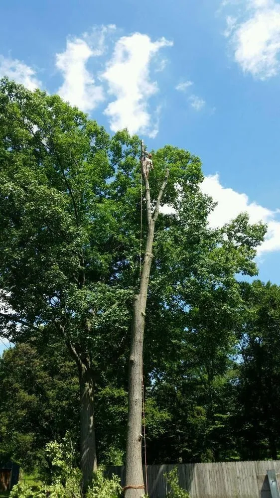 Expert landscaping services in Commerce Township, MI by JMAC Lawn and Tree Service