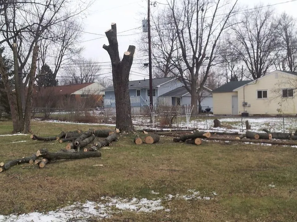 Professional landscaping services for year-round maintenance across Commerce Township, MI - JMAC Lawn and Tree Service