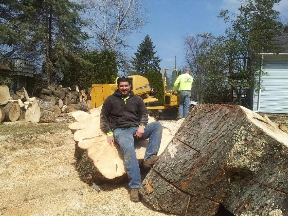 Local landscape installation in Commerce Township, MI - JMAC Lawn and Tree Service