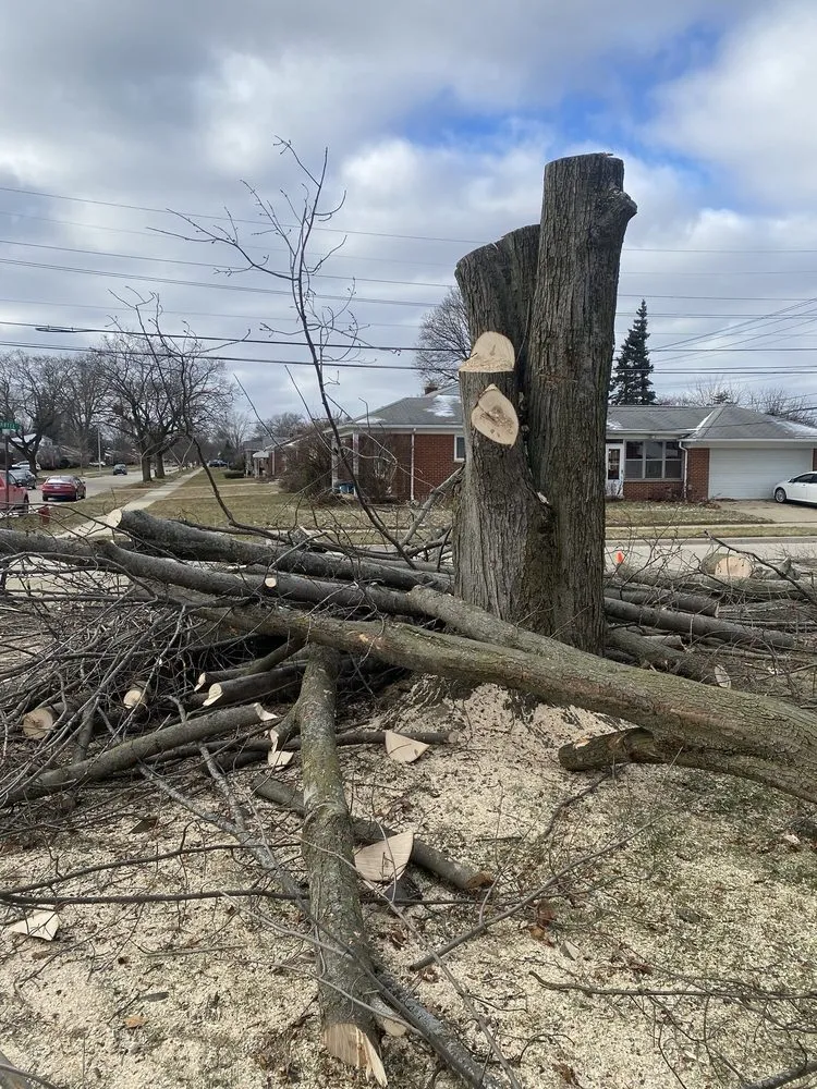 Trusted landscape design for residential properties across Commerce Township, MI - JMAC Lawn and Tree Service