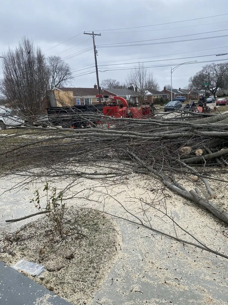 Affordable landscape design experts serving Commerce Township, MI - JMAC Lawn and Tree Service