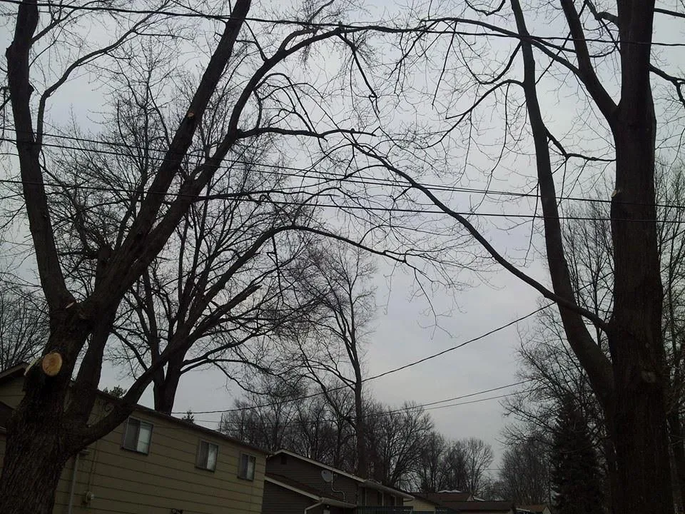 Top-rated residential landscaping in Commerce Township, MI - JMAC Lawn and Tree Service