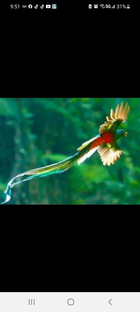 Professional landscape design for homes in Commerce Township, MI by JMAC Lawn and Tree Service