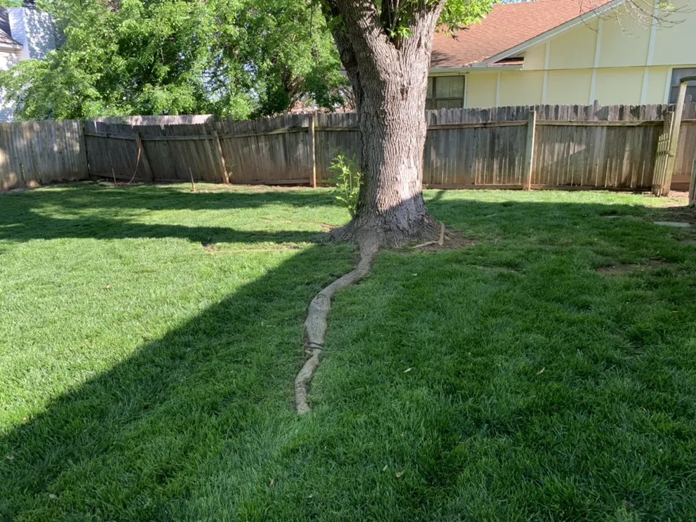 Top-rated lawn mowing service in Tulsa, OK - JMar's Lawn Maintenance