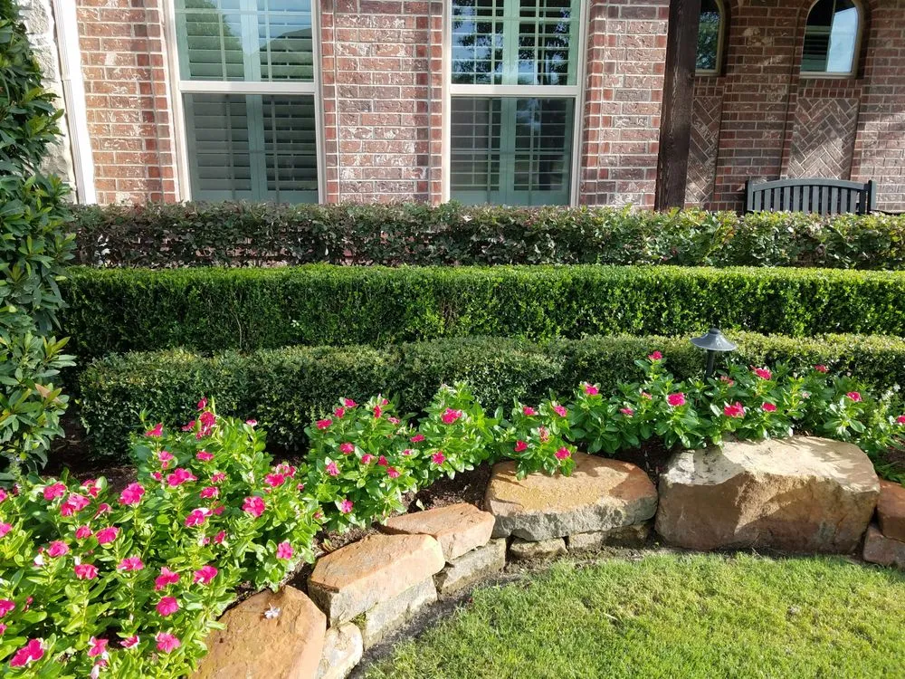 Top-rated landscaping services in Katy, TX - JMAS Landscaping